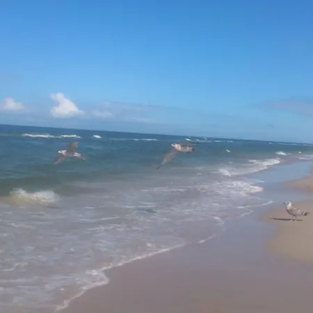 Holiday home Jeszcze Bardziej Dziki Sad Slajszewo