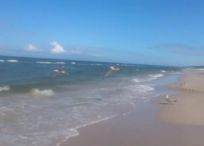 بيت للعطل Jeszcze Bardziej Dziki Sad Slajszewo