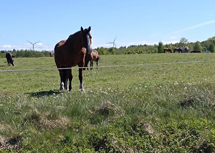 بيت للعطل Jeszcze Bardziej Dziki Sad *