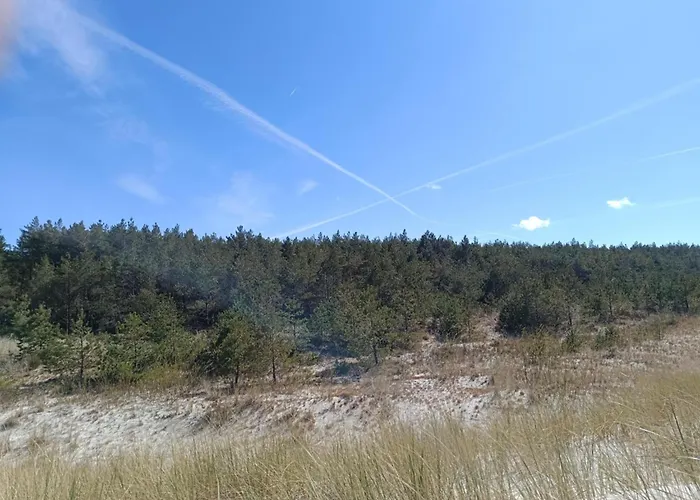 Jeszcze Bardziej Dziki Sad بيت للعطل