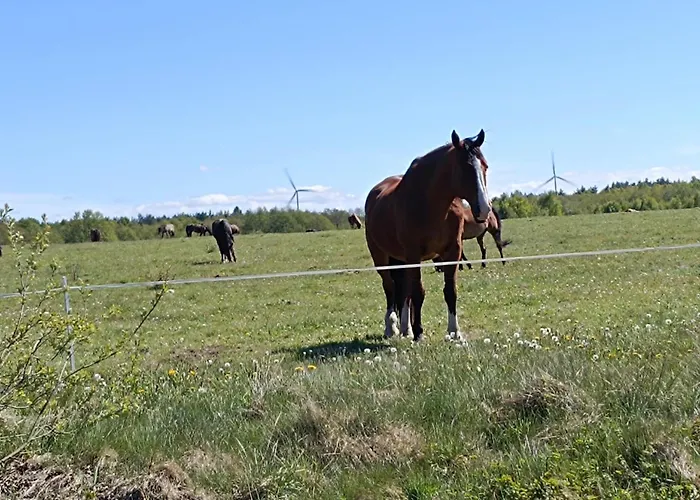 بيت للعطل Jeszcze Bardziej Dziki Sad *