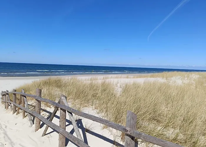 Jeszcze Bardziej Dziki Sad Slajszewo