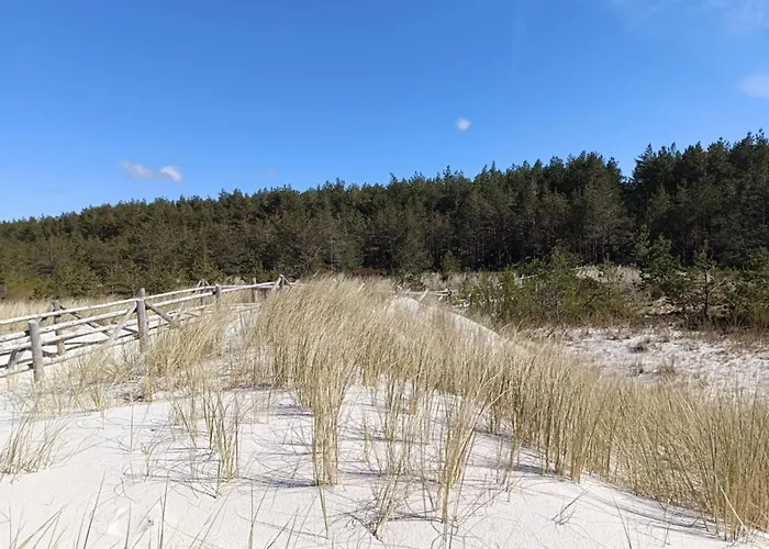 Jeszcze Bardziej Dziki Sad * Slajszewo